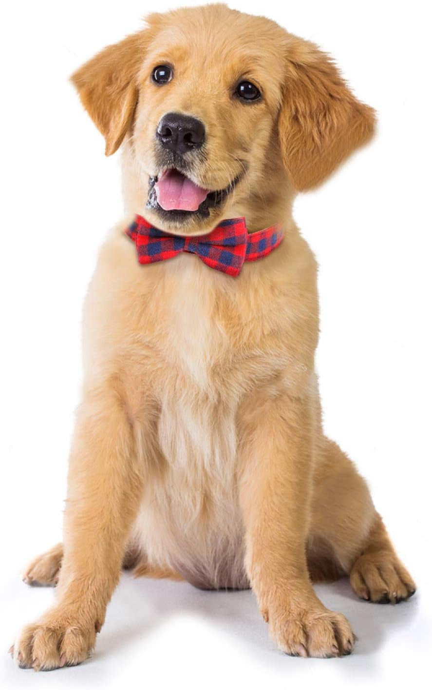 Dog Bow Tie, Dog Cat Collar with Bow Tie Buckle Light Plaid Dog Collar for Dogs Cats Pets Soft Comfortable,Adjustable (S, Red)