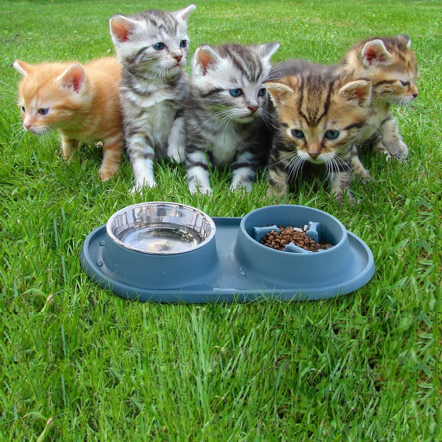 Dog Bowls Small Medium Sized Dog Food Bowl, Slow Feeder Dog Bowls, 1/2 Cup Stainless Steel Dog Bowls, No-Spill Non-Skid, Dog Food Water Bowls Set by (Bright Orange)