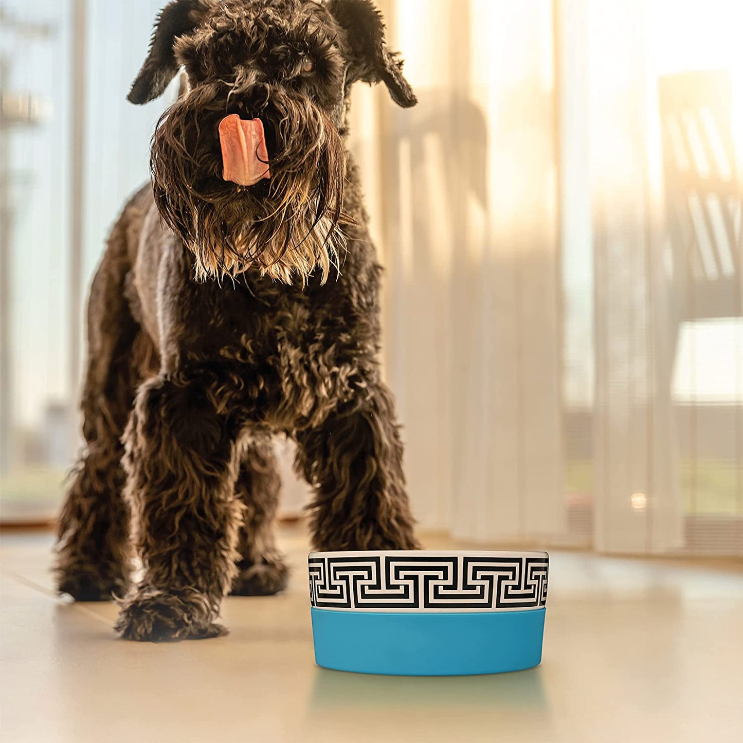 Now House for Pets by Jonathan Adler Greek Key Duo Dog Bowl, Small Cute Ceramic Dog Food Bowl from for Water or Food, 4.5 Inch Dog Bowl
