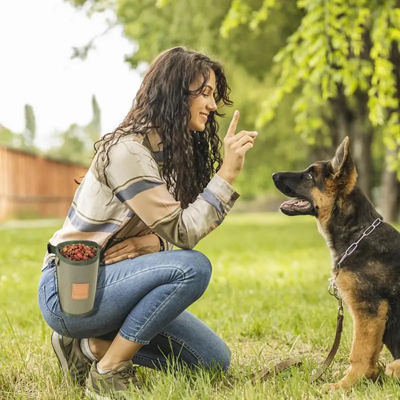 Dog Training Snack Bag Portable Puppy Snack Reward Waist Bag Dog Training Treat Snacks Bait Pet Feed Pocket Puppy Feeder Supply