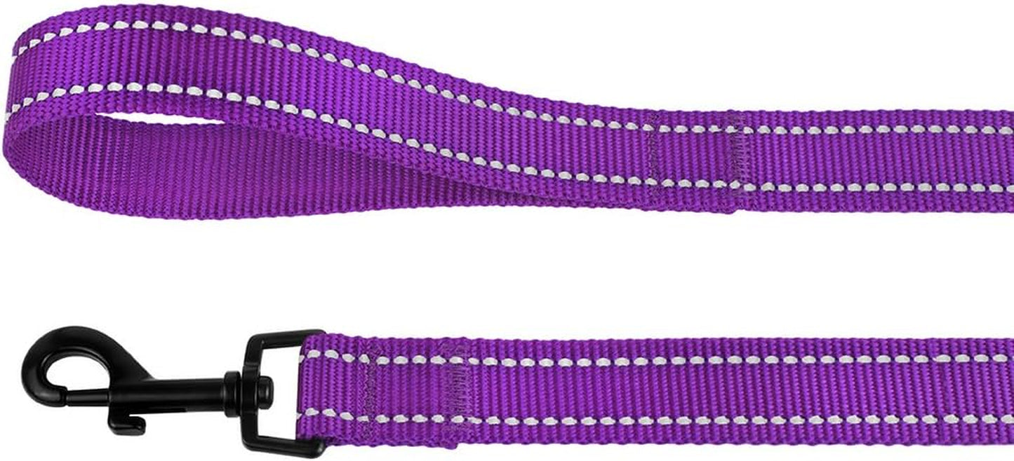 Nylon Dog Leash 5Ft for Daily Outdoor Walking Running Training Heavy Duty Reflective Pet Leashes for Large, Medium & Small Dogs (S, Purple)