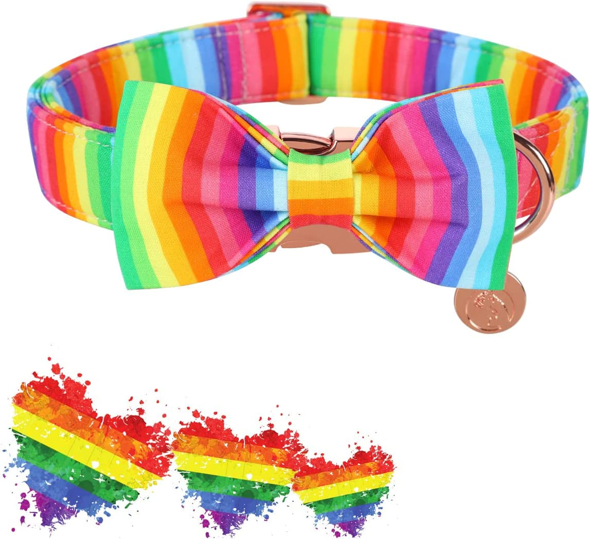 Rainbow Dog Collar with Pretty Bow Tie for LGBT Pride Month - Adjustable and Comfortable Collar for Large Medium Small Dog,M