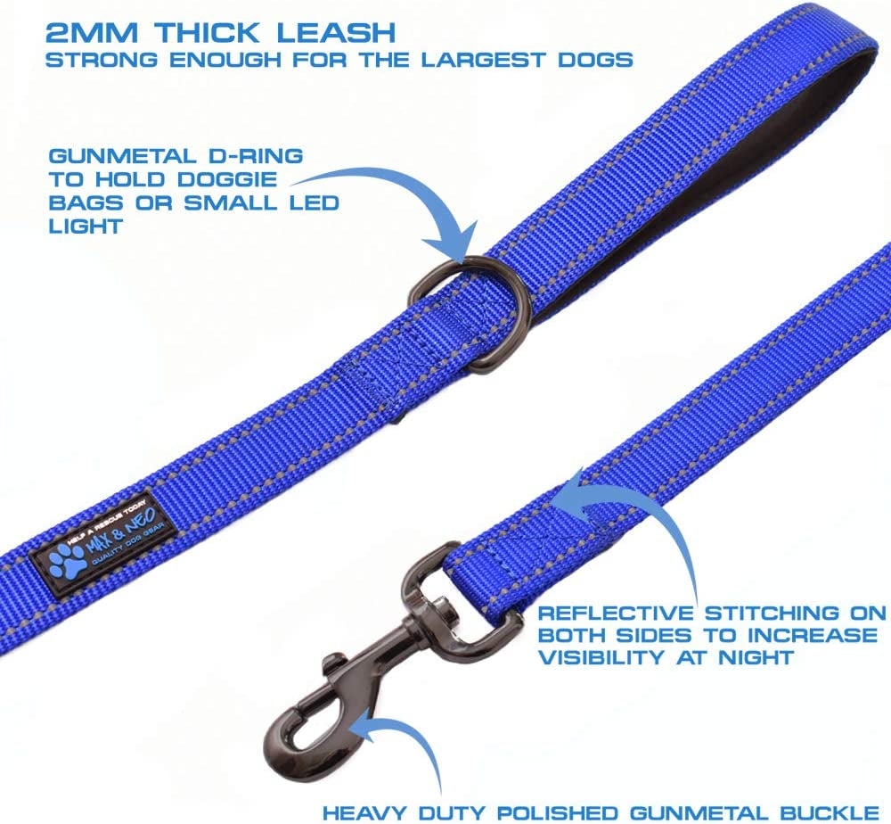 Double Handle Traffic Dog Leash Reflective - We Donate a Leash to a Dog Rescue for Every Leash Sold (Teal, 6 FT)