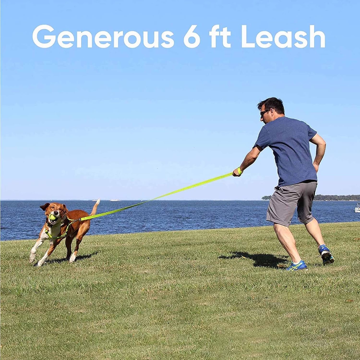 6 FT Solid Color Leash for Puppy Leash Dog Leash Comfortable Handle Dog Training Leash 6 Ft Dog Leash Extra Small Dog Leash/Small Dog Leash Green Dog Leash