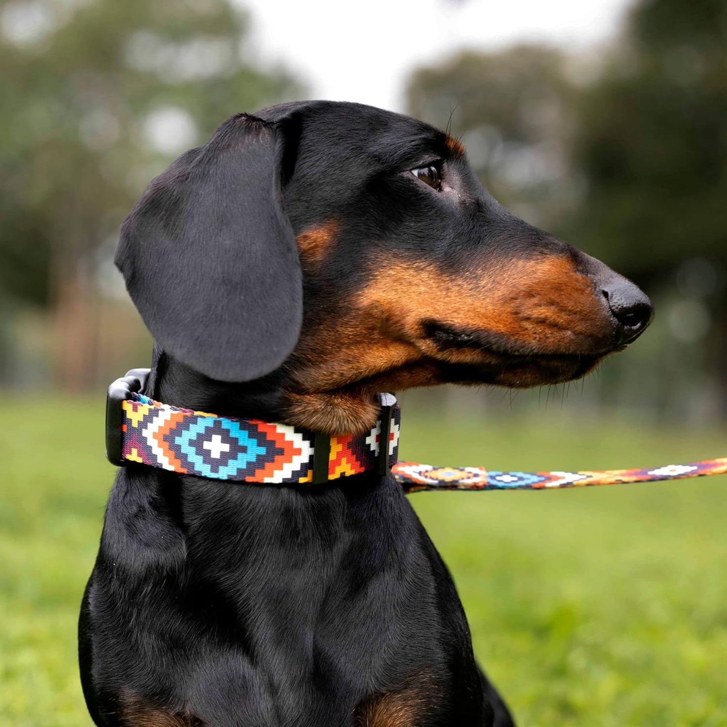 Purple Geometric Dog Collar, Pet Collar for Small Medium Large Dogs or Puppies with Quick Release Buckle, Yellow Orange Pattern, Adjustable Nylon (Sunset, Neck Fit 14"-18")