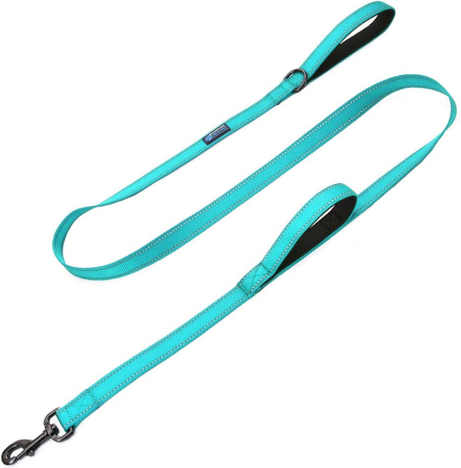 Double Handle Traffic Dog Leash Reflective - We Donate a Leash to a Dog Rescue for Every Leash Sold (Teal, 6 FT)