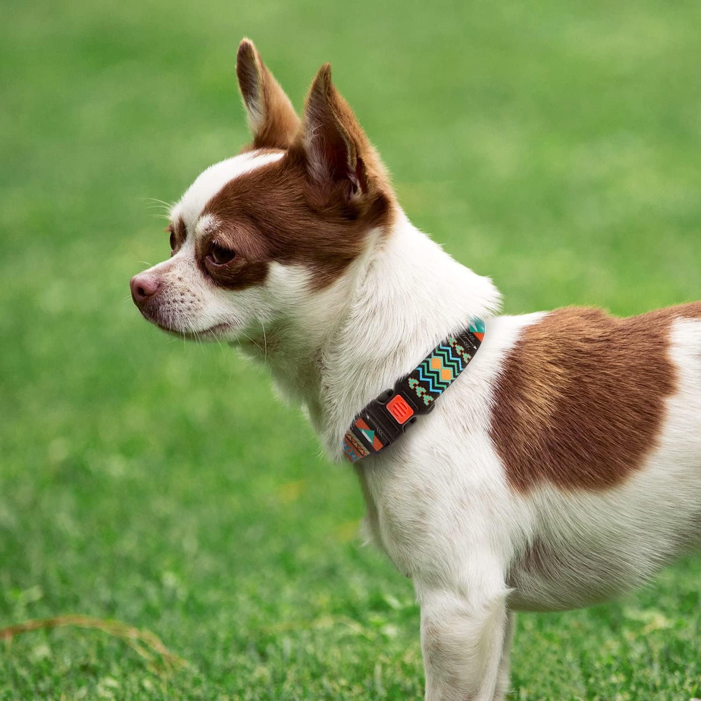 Dog Collar for Small Medium Large Dogs or Puppies, Cute Unique Design with a Quick Release Buckle, Tribal Ethnic Aztec Pattern, Adjustable Soft Nylon (Tribal, Neck Fit 10"-13")