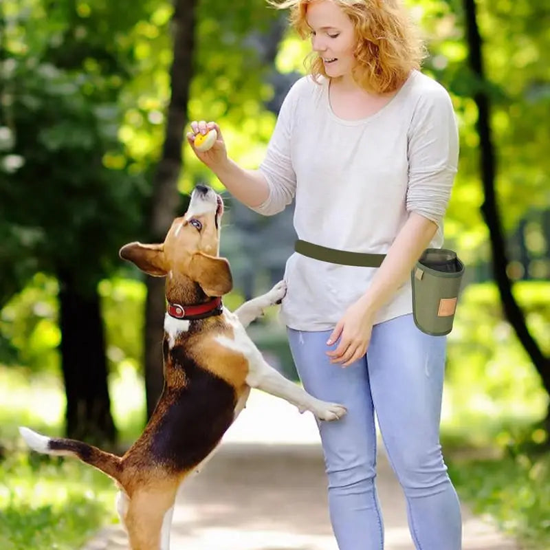 Dog Training Snack Bag Portable Puppy Snack Reward Waist Bag Dog Training Treat Snacks Bait Pet Feed Pocket Puppy Feeder Supply