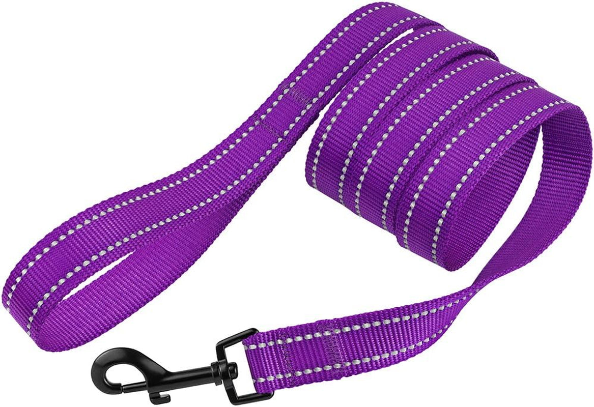 Nylon Dog Leash 5Ft for Daily Outdoor Walking Running Training Heavy Duty Reflective Pet Leashes for Large, Medium & Small Dogs (S, Purple)