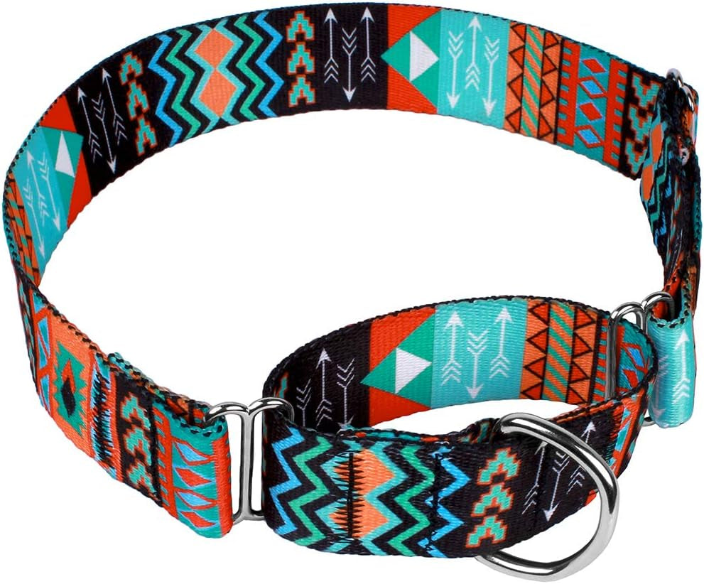 Martingale Dog Collar Nylon Safety Training Tribal Pattern Adjustable Heavy Duty Collars for Dogs Medium Large (Pattern 2, Large, Neck Size 15"-20")