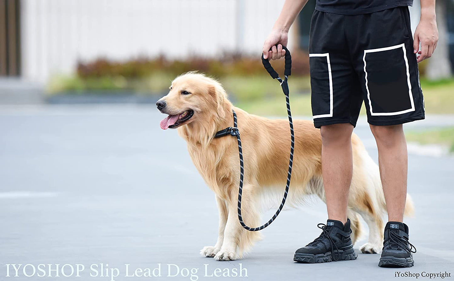 6 FT Durable Slip Lead Dog Leash with Padded Handle and Highly Reflective Threads, Dog Training Leash, (Medium/Large, 35~120 Lbs, Black)