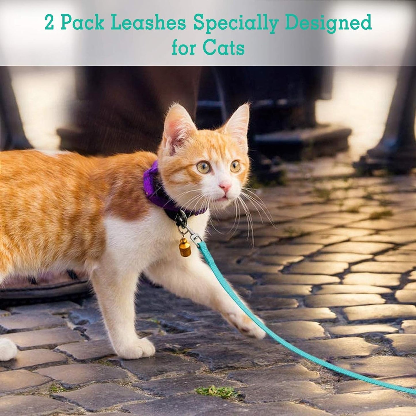 2 Pack Cat Leashes - Long Nylon Pet Leash, Escape Proof Durable Walking Leads, Easy Control outside Cat Leash with 360 Degree Swivel Clip for Kittens Puppies Rabbits Small Animals