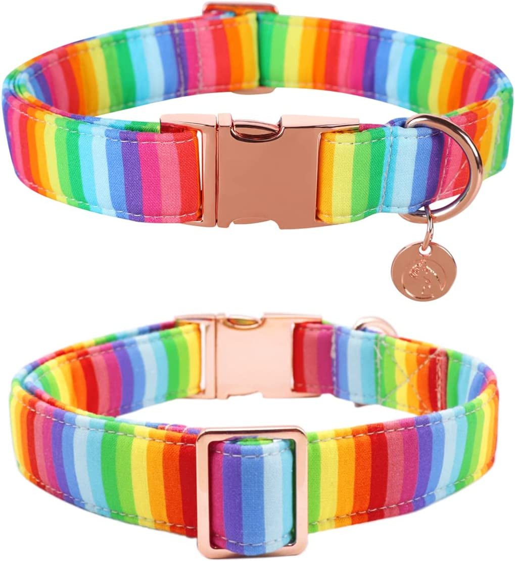 Rainbow Dog Collar with Pretty Bow Tie for LGBT Pride Month - Adjustable and Comfortable Collar for Large Medium Small Dog,M