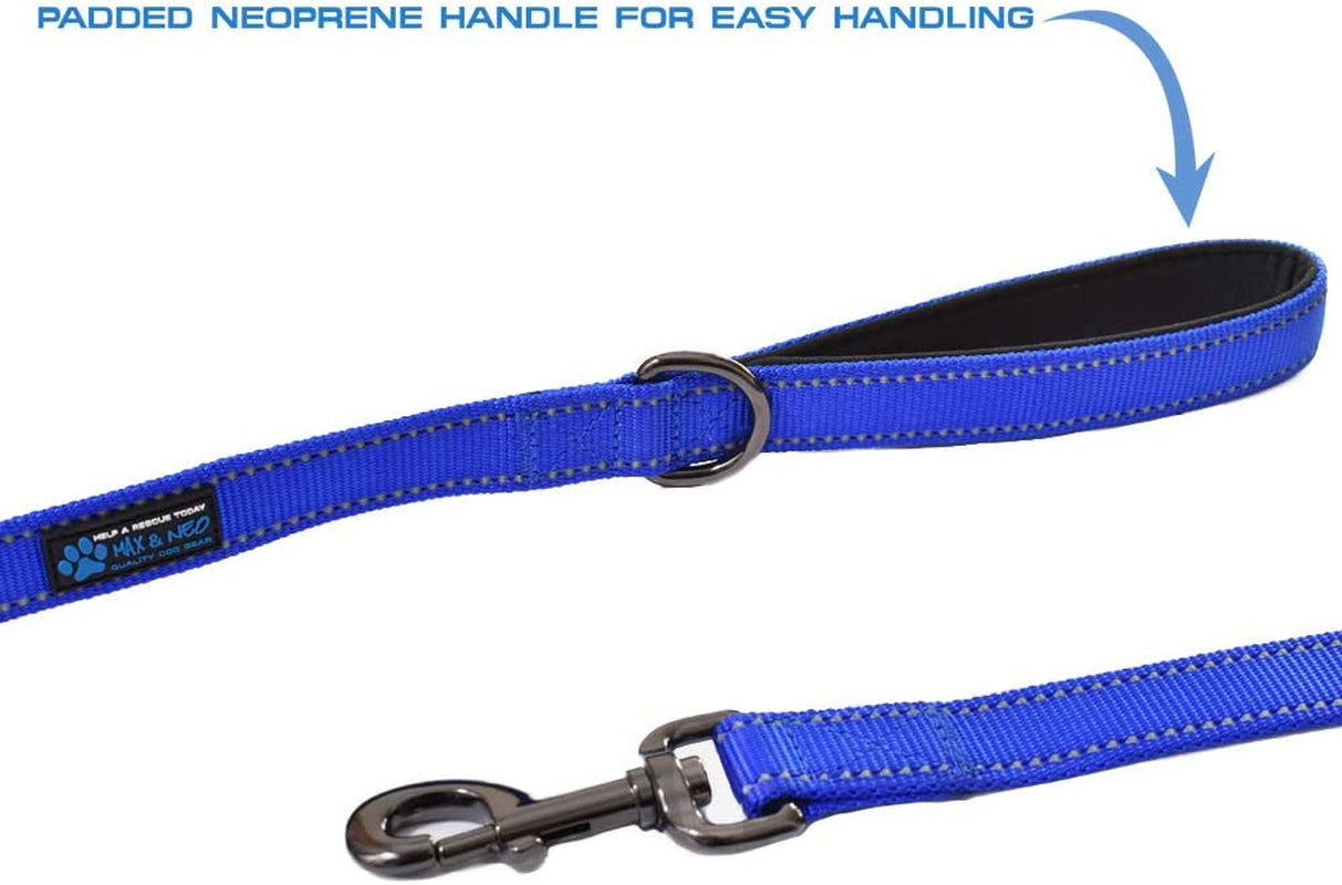 Double Handle Traffic Dog Leash Reflective - We Donate a Leash to a Dog Rescue for Every Leash Sold (Teal, 6 FT)