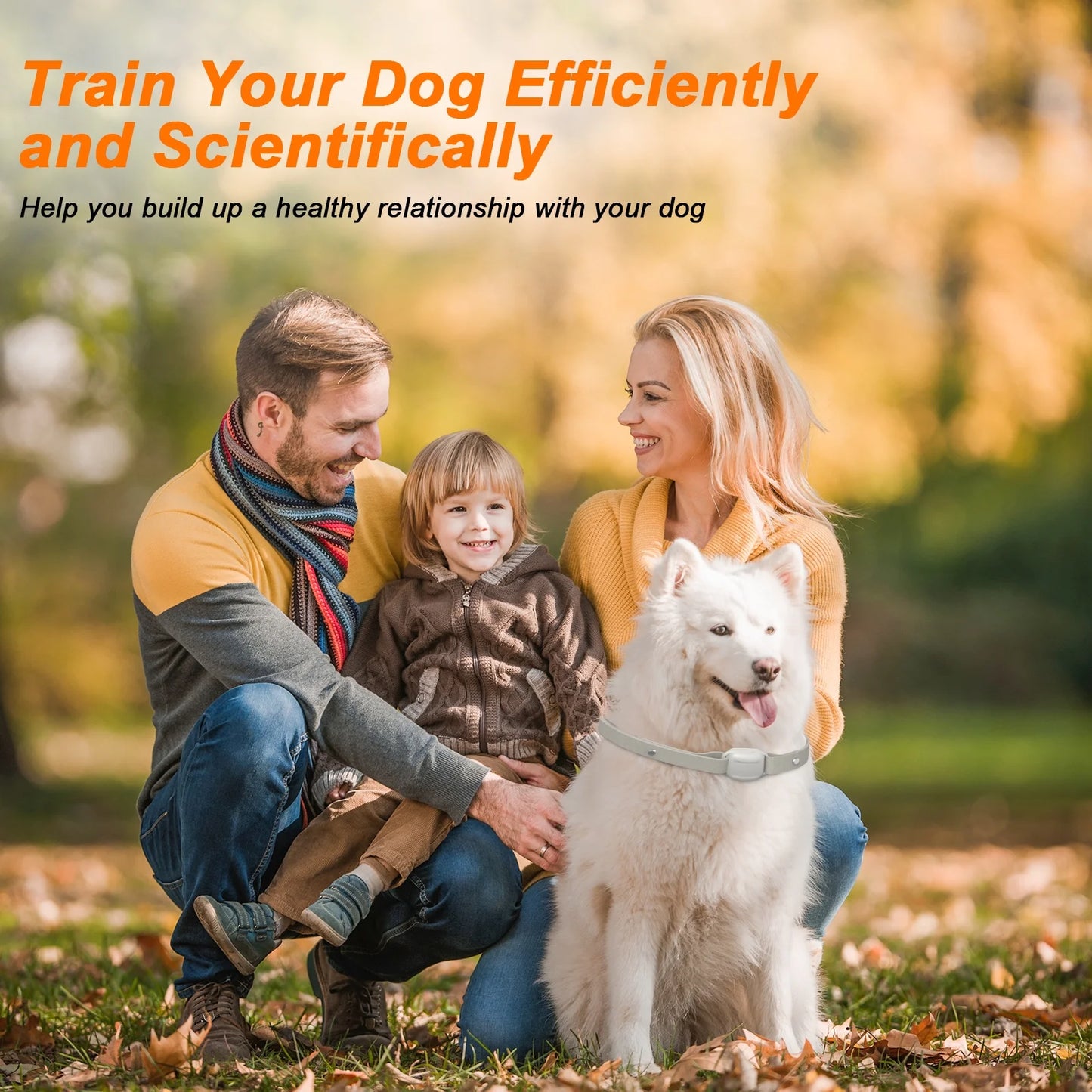 Dog Training Collar, Waterproof Rechargeable Dog Electric Shock Collar with Remote for Small Medium Large Dogs