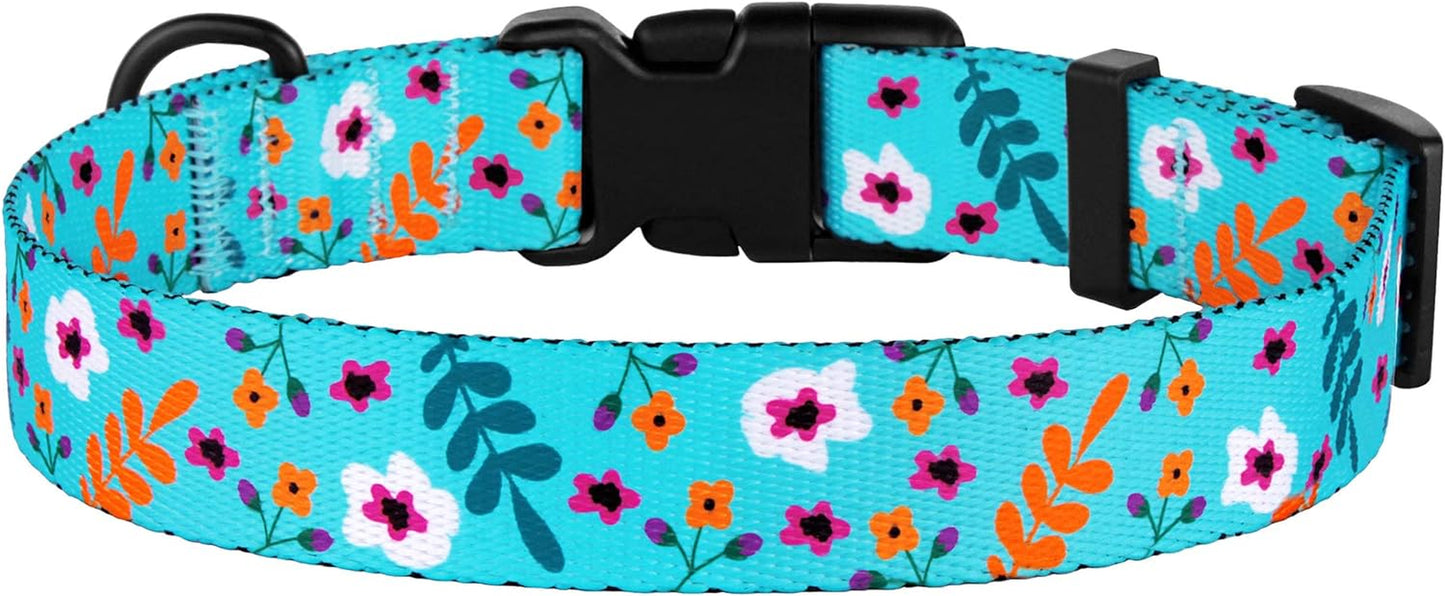 Floral Dog Collar Nylon Pattern Flower Print Adjustable Pet Collars for Dogs Small Medium Large Puppy (Neck Fit 10"-13", Aquamarine)