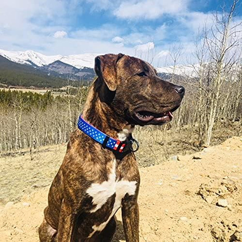 American Flag Dog Collar (Medium, Flag I)