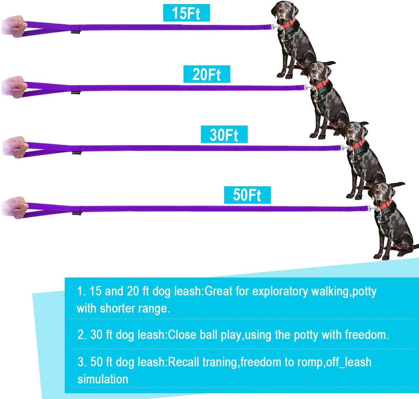 Dog/Puppy/Cat 15 Ft, 20 Ft, 30 Ft, 50 Ft Long Leash for Dog Cat Training, Play, Camping for Small, Medium Dogs or Cats(15 Feet,Purpule)