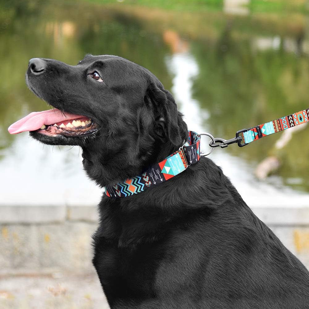 Martingale Dog Collar Nylon Safety Training Tribal Pattern Adjustable Heavy Duty Collars for Dogs Medium Large (Pattern 2, Large, Neck Size 15"-20")