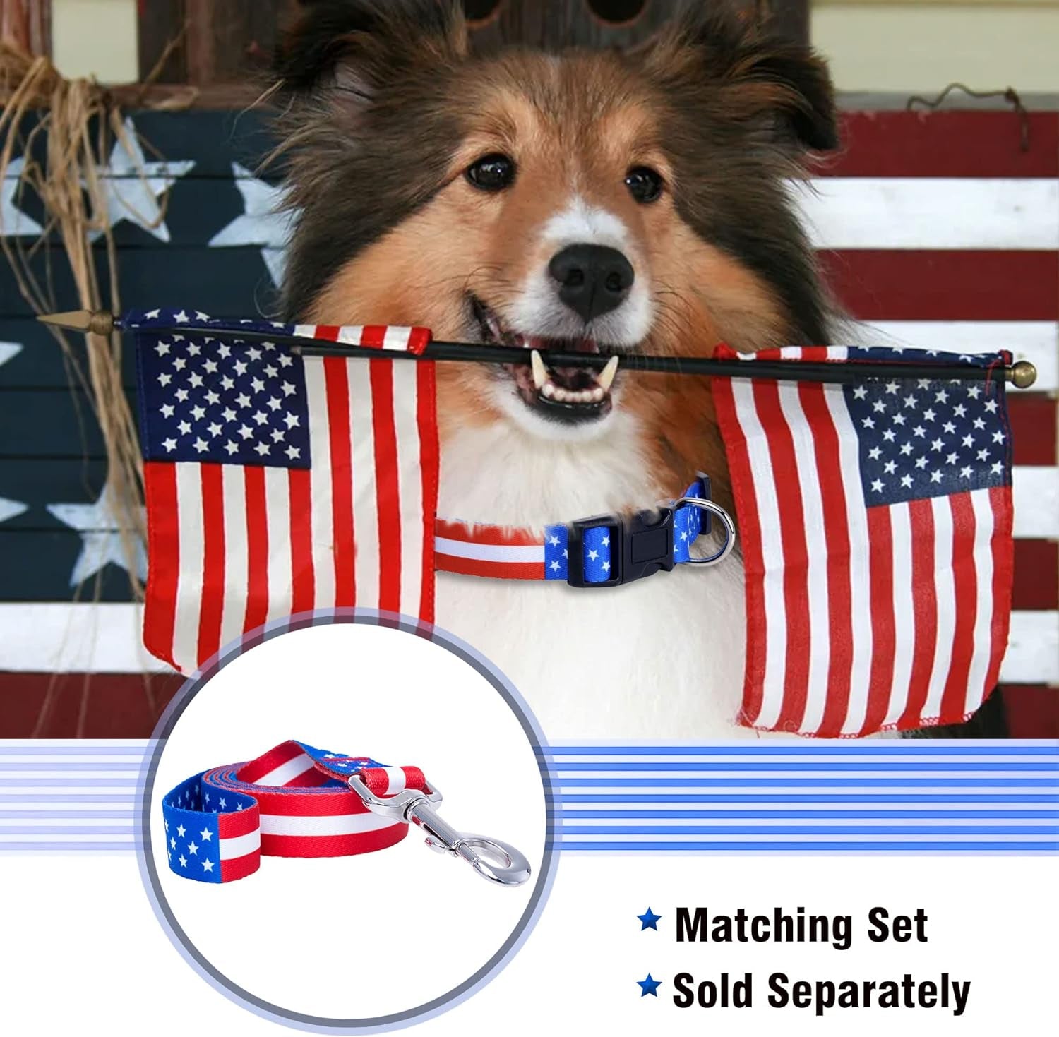 American Flag Dog Collar (Medium, Flag I)